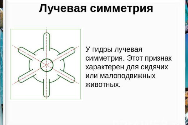 Восстановить доступ к кракену