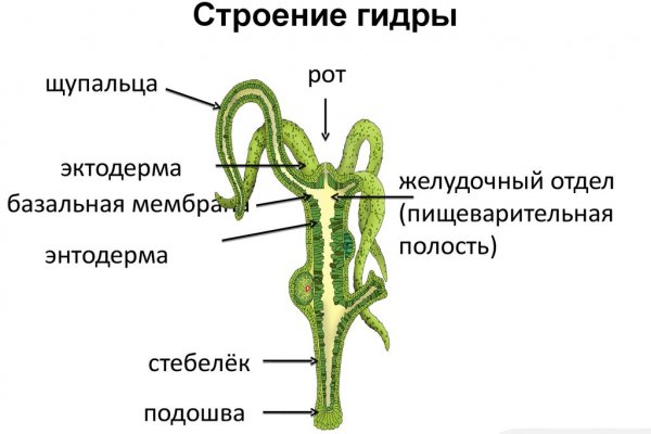 Кракен официальная ссылка