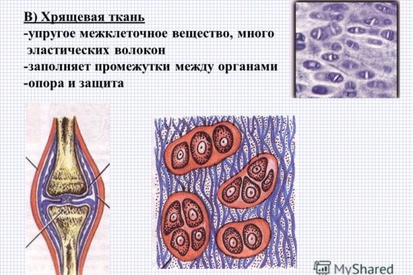 Кракен 15 сайт